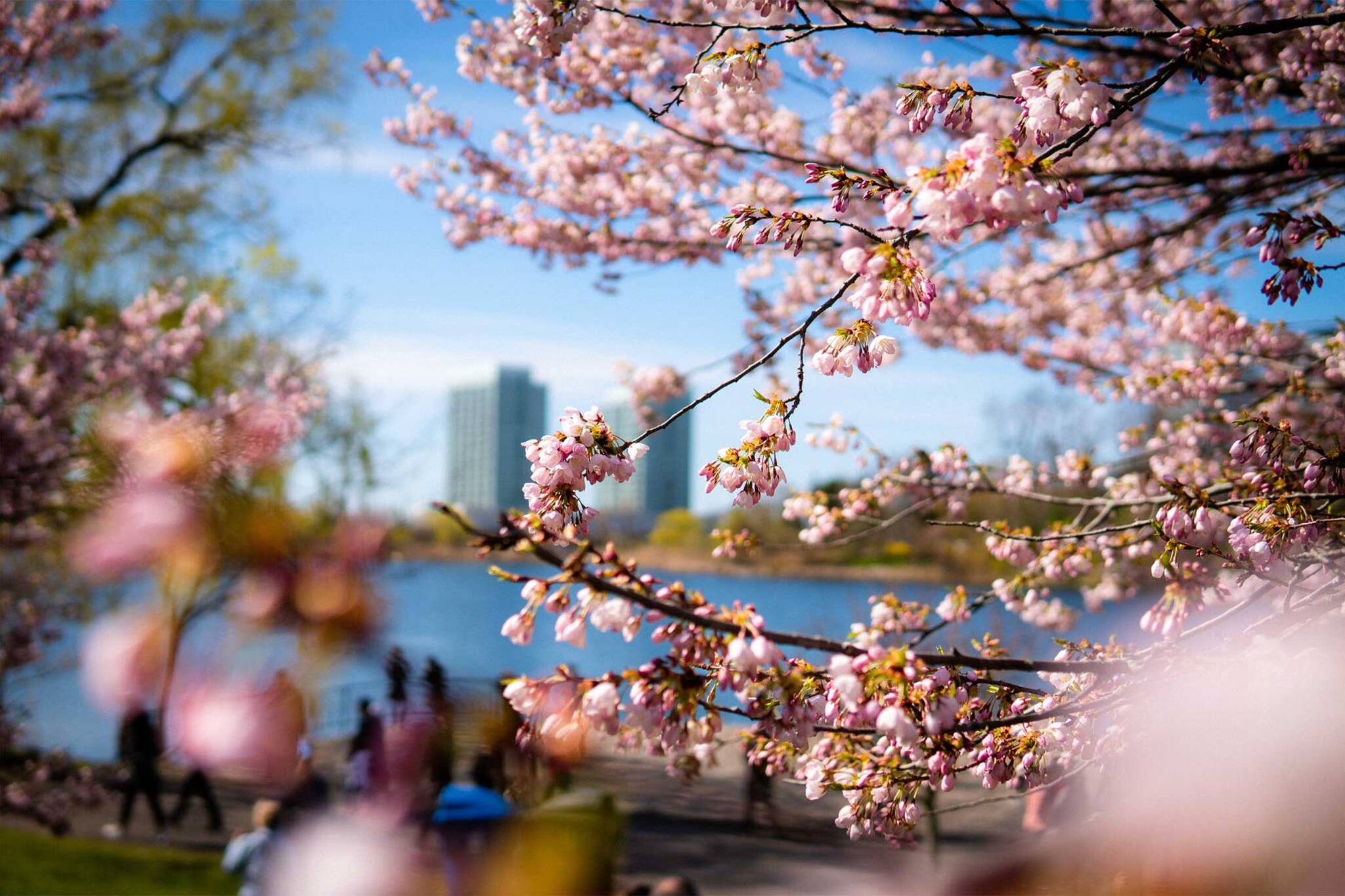 Here's the spring forecast for 2020 in Canada
